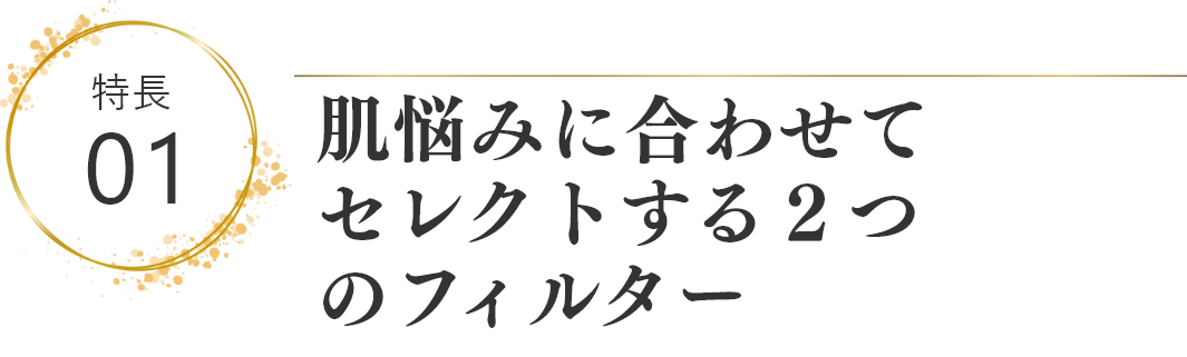 特徴01 肌悩みにあったフィルター